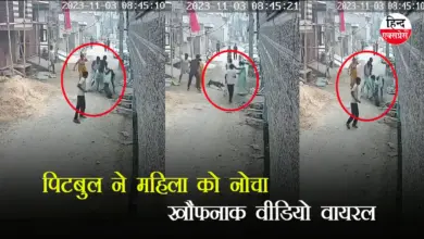 पिटबुल डॉग ने महिला को नोचा