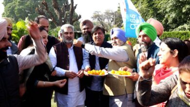Punjab leaders celebrate historic victory of AAP in MCD