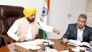 PUNJAB GOVERNMENT TO SET UP 20 DEDICATED RURAL INDUSTRIAL HUBS IN THE STATE: SAYS CM