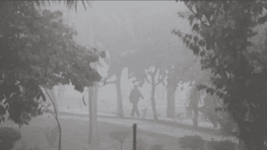 दिल्ली एनसीआर में घना कोहरा शून्य दृश्यता के साथ मौसम विभाग ने रेड अलर्ट जारी किया