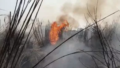 झज्जर में प्रवासी मजदूरों की झुग्गियों में लगी भीषण आग