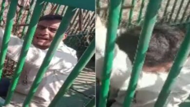 वायरल वीडियो: तेंदुए को पकड़ने के लिए बिछाया था जाल, लेकिन मुर्गे के लालच में पिंजरे में फंस गया शख्स