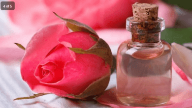 Rose Day 2023 : गुलाब जल के इस्तेमाल से चेहरे पर आएगा गुलाबी निखार