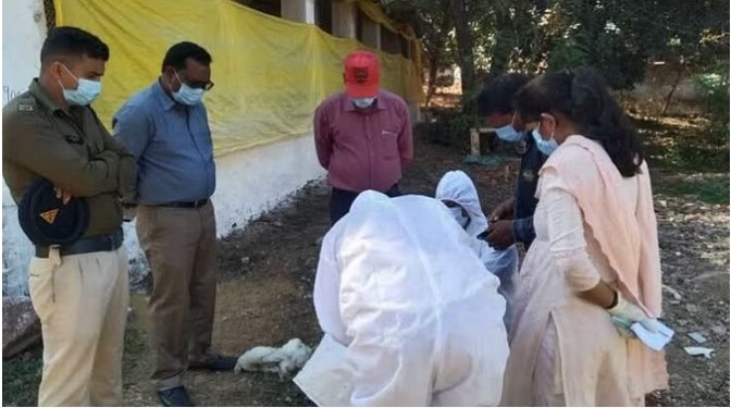 Chhattisgarh: 'रानीखेत' बीमारी से हुई थी बालोद में 3700 मुर्गियों की मौत