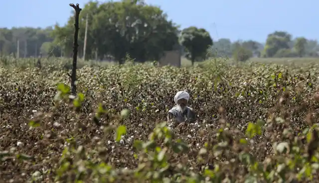 किसानों को दी गई 315 करोड़ रुपये से ज्यादा की सब्सिडी